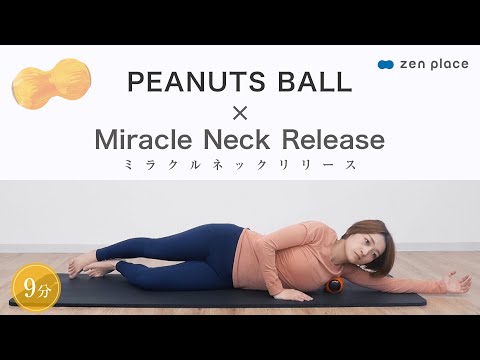 PEANUTS BALL（電動フィットネスボール） – zen placeオンラインストア