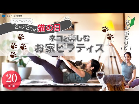 BAILEY'S - 猫用CBDオイル 100mg – zen placeオンラインストア